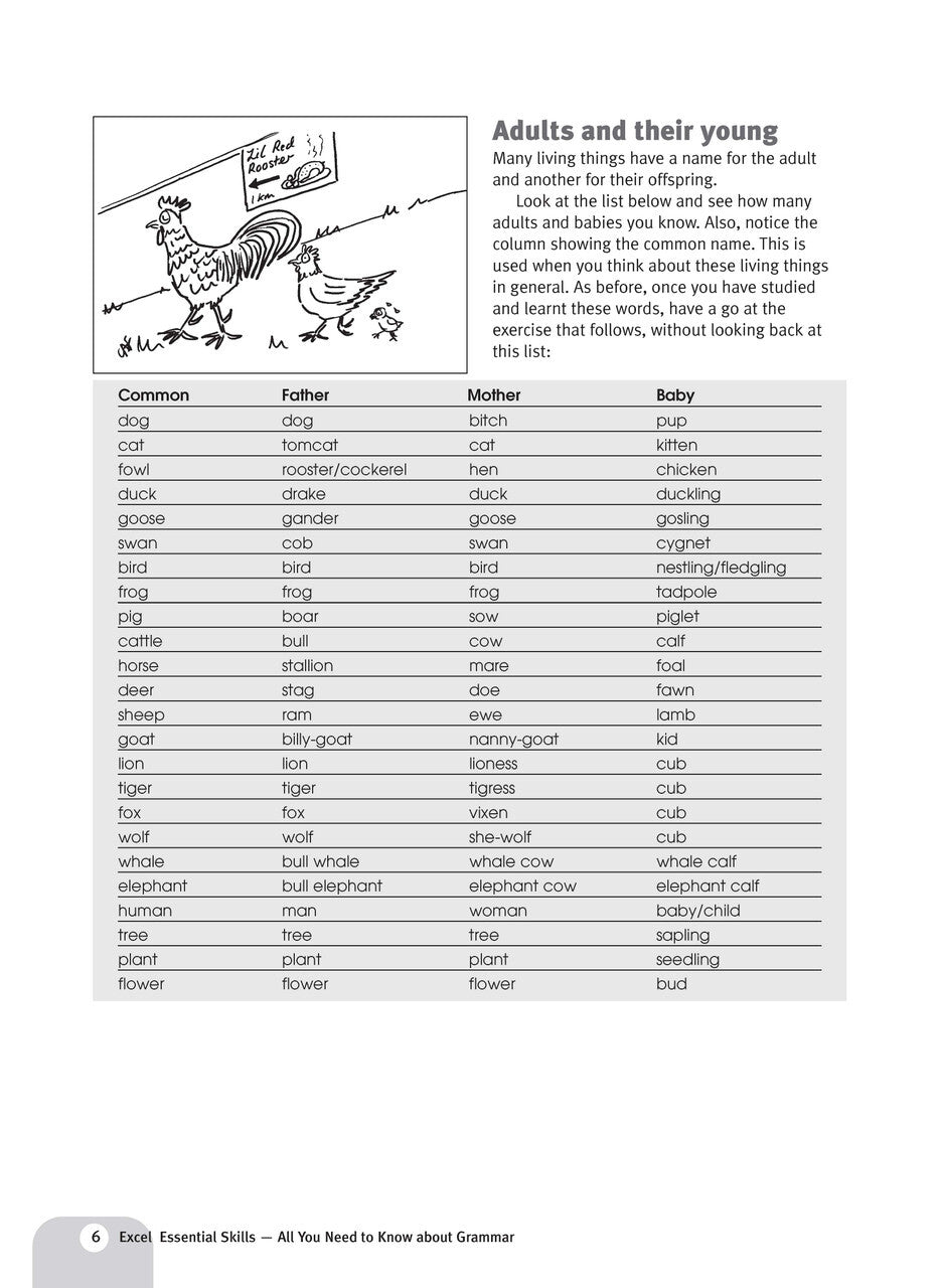 Excel Essential Skills: All You Need To Know About Grammar Years 7-10