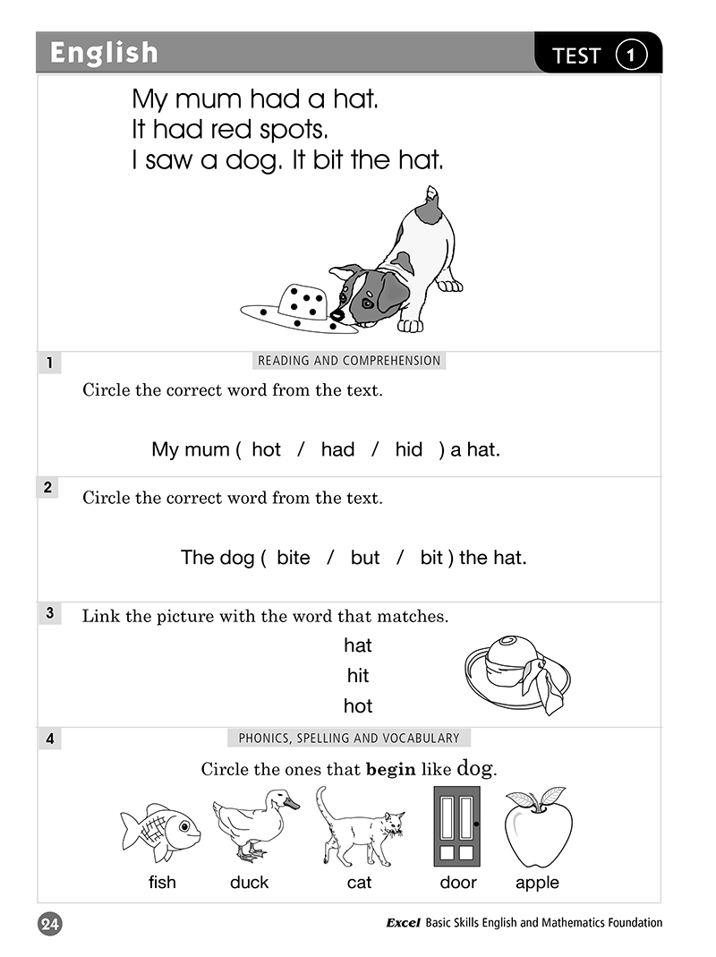 Excel Basic Skills: English and Mathematics - Foundation