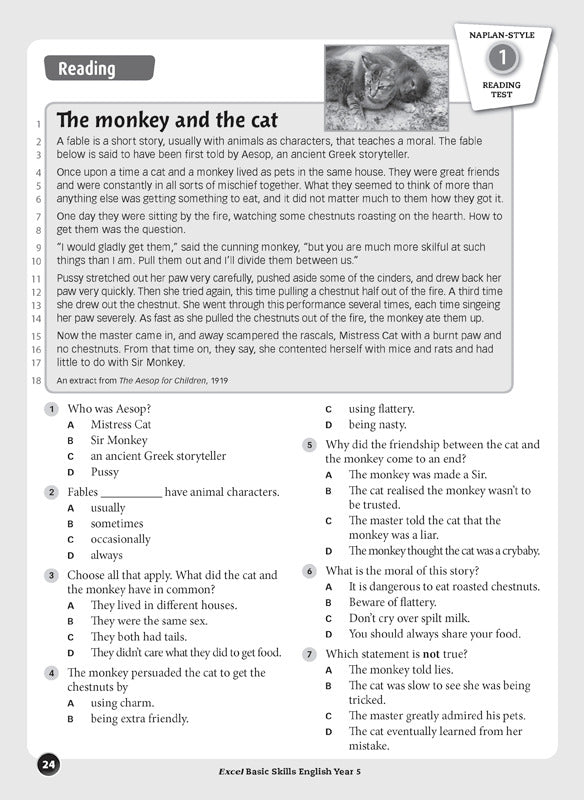 Excel Basic Skills - English: Year 5