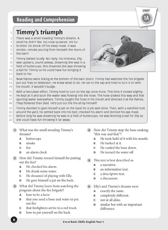 Excel Basic Skills - English: Year 5