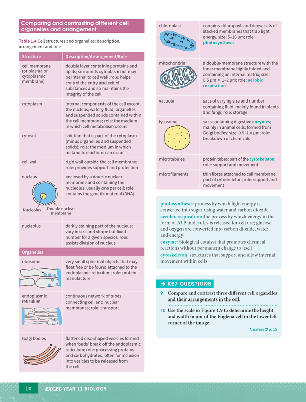 Excel - Biology Study Guide: Year 11