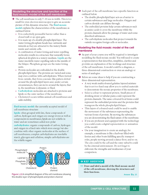 Excel - Biology Study Guide: Year 11