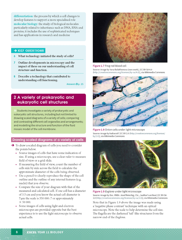 Excel - Biology Study Guide: Year 11