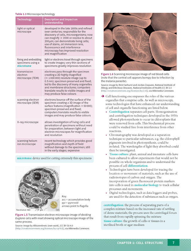 Excel - Biology Study Guide: Year 11