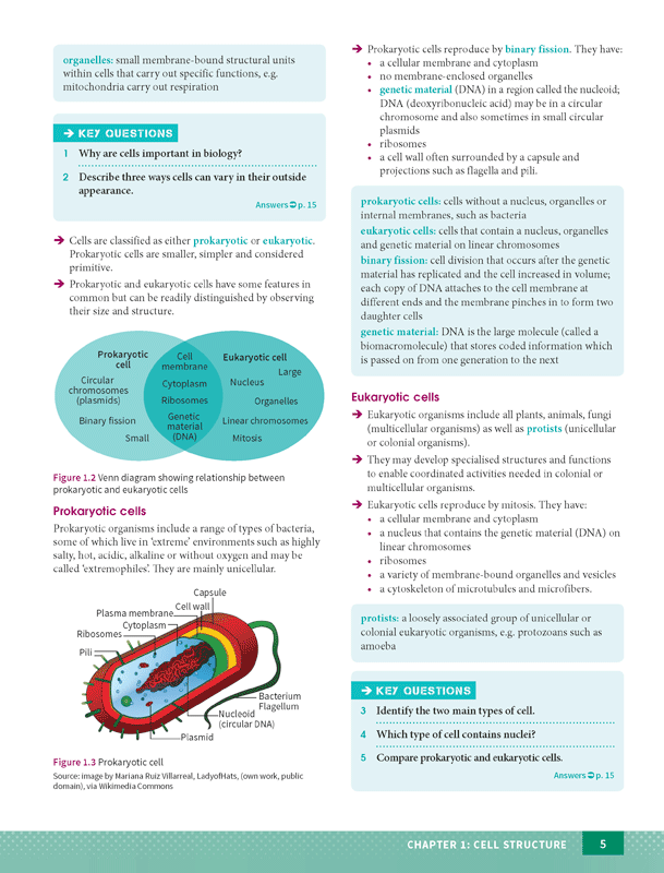 Excel - Biology Study Guide: Year 11