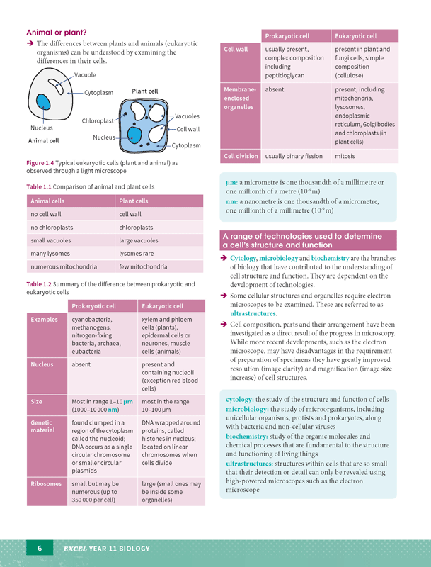 Excel - Biology Study Guide: Year 11