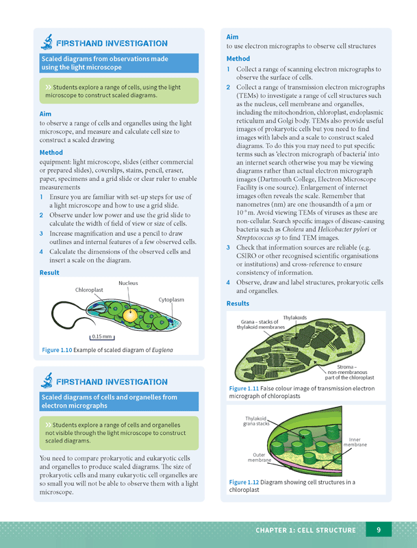 Excel - Biology Study Guide: Year 11