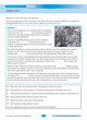Excel Opportunity Class Reading Tests Years 3-4