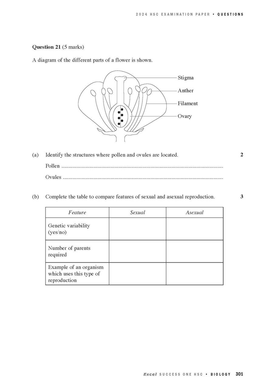 Excel Success One HSC Biology (2025 Edition)
