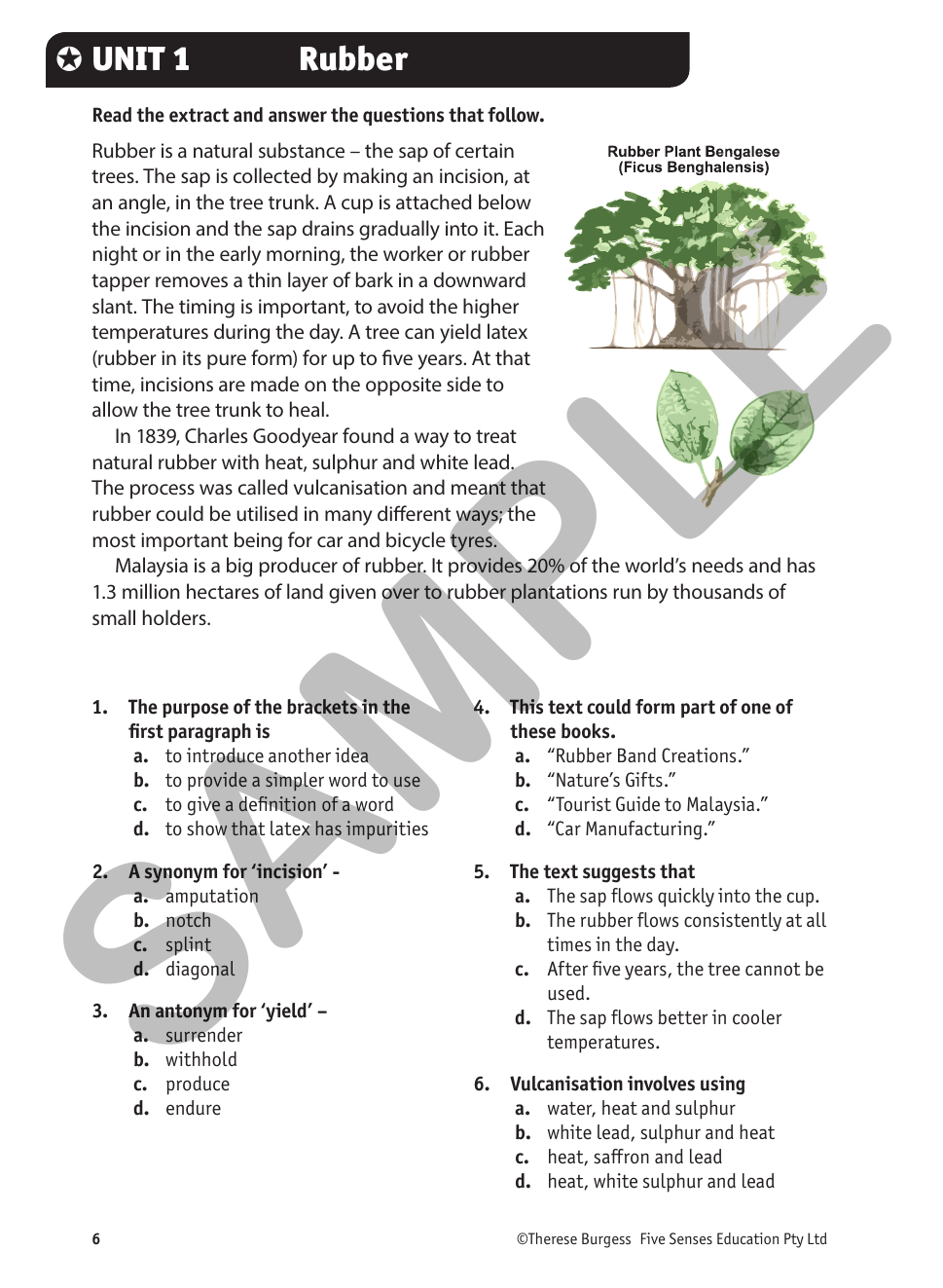 Top Skills Advanced Comprehension sample page