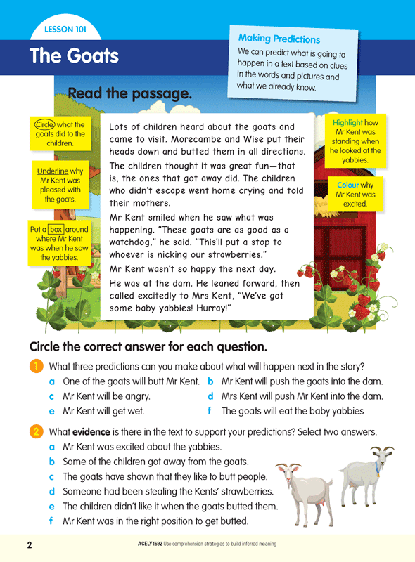 ABC Reading Eggspress - Comprehension and Grammar Workbook: Year 4