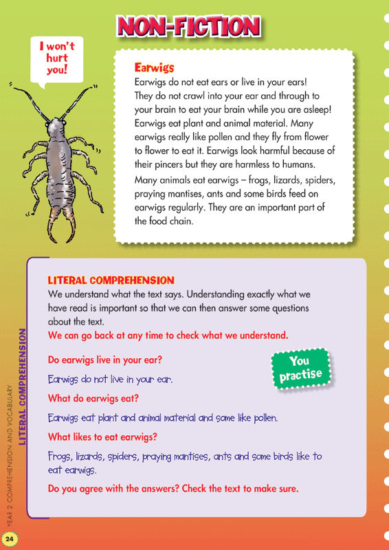 Back to Basics - Comprehension and Vocabulary: Year 2