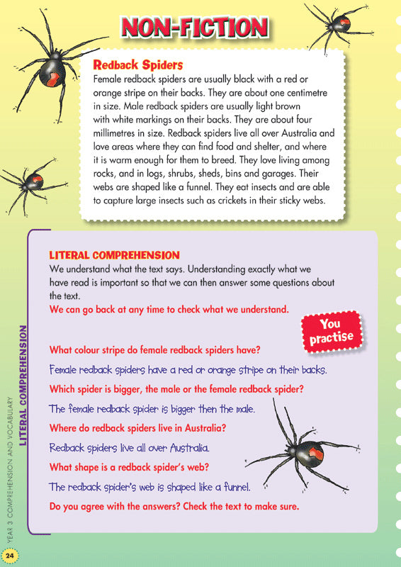 Back to Basics - Comprehension and Vocabulary: Year 3