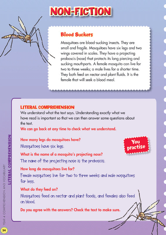 Back to Basics - Comprehension and Vocabulary: Year 4