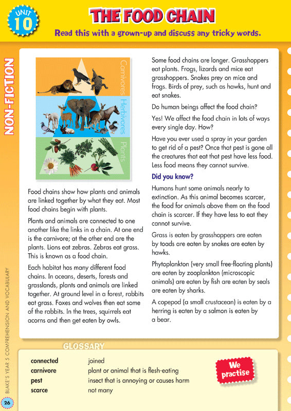 Back to Basics - Comprehension and Vocabulary: Year 5
