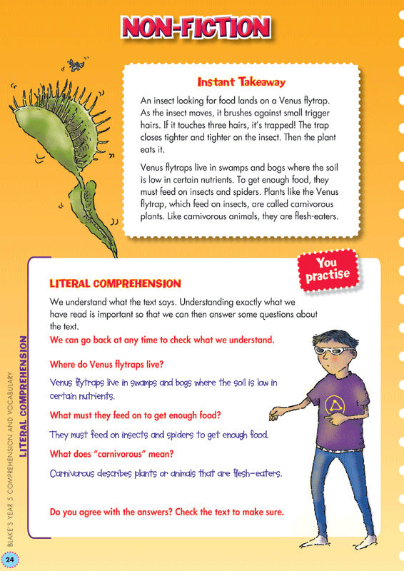 Back to Basics - Comprehension and Vocabulary: Year 5