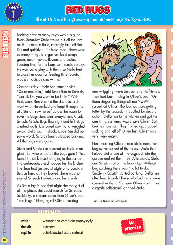 Back to Basics - Comprehension and Vocabulary: Year 6