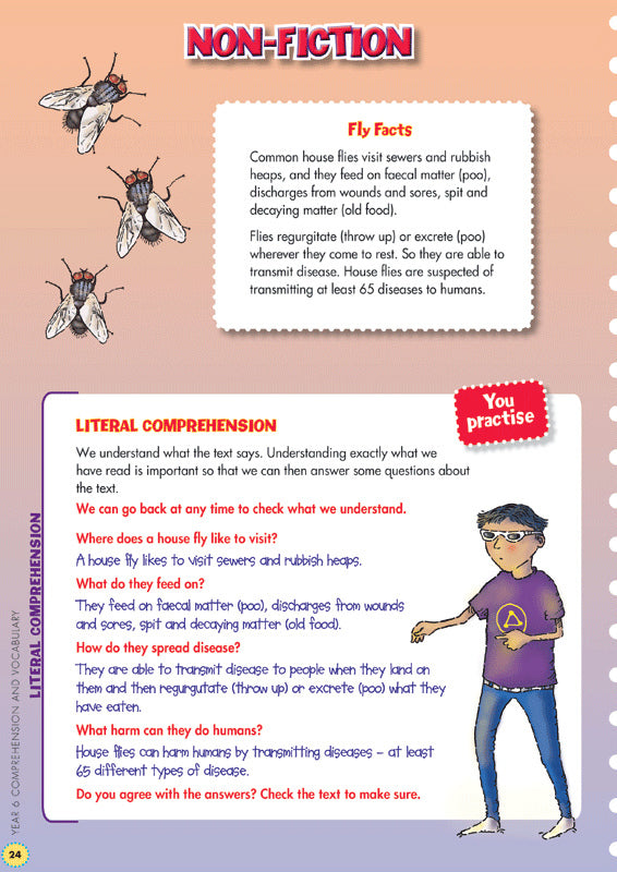 Back to Basics - Comprehension and Vocabulary: Year 6