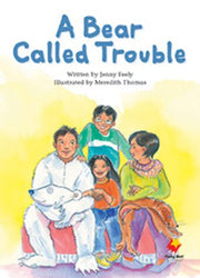 Flying Start to Literacy: A Bear Called Trouble