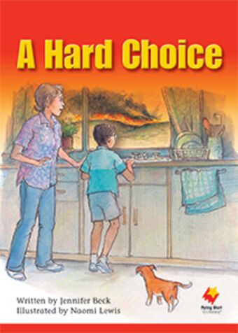 Flying Start to Literacy: A Hard Choice