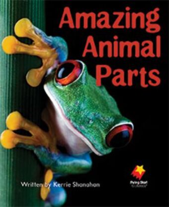 Flying Start to Literacy: Amazing Animal Parts