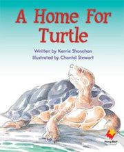 Flying Start to Literacy: A Home For Turtle