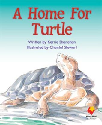 Flying Start to Literacy: A Home For Turtle