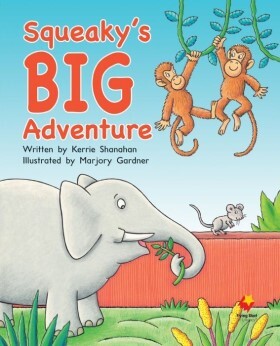 Flying Start to Literacy Shared Reading: Big Books - Squeaky's Big Adventure (Pack 15)