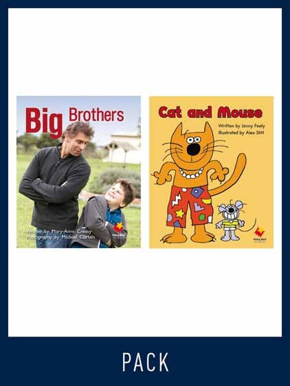 Flying Start to Literacy: Guided Reading - Big Brothers & Cat and Mouse - Level 3 (Pack 5)