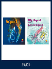 Flying Start to Literacy: Guided Reading - Squid & Big Squid - Level 7 (Pack 4)
