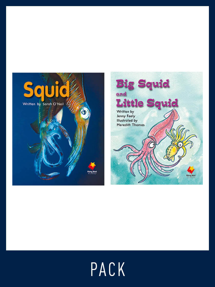 Flying Start to Literacy: Guided Reading - Squid & Big Squid - Level 7 (Pack 4)