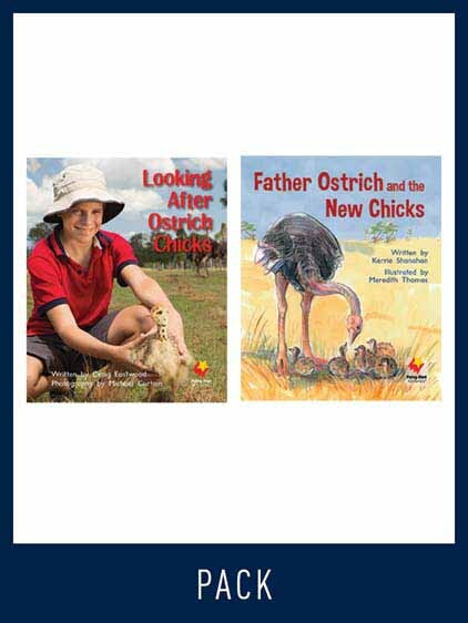Flying Start to Literacy: Guided Reading - Looking After Ostriches Chicks & Father Ostrich and the New Chicks - Level 10 (Pack 1)