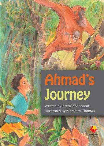 Flying Start to Literacy: Ahmad's Journey