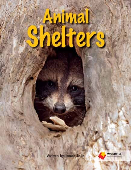 Flying Start to Literacy: WorldWise - Animal Shelters