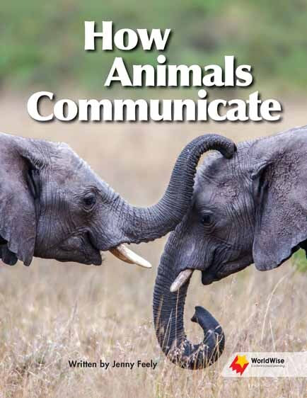 Flying Start to Literacy: WorldWise - How Animals Communicate