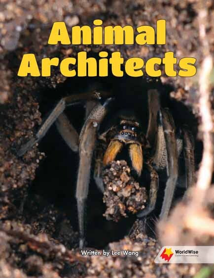 Flying Start to Literacy: WorldWise - Animal Architects