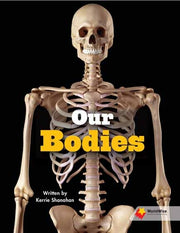 Flying Start to Literacy: WorldWise - Our Bodies