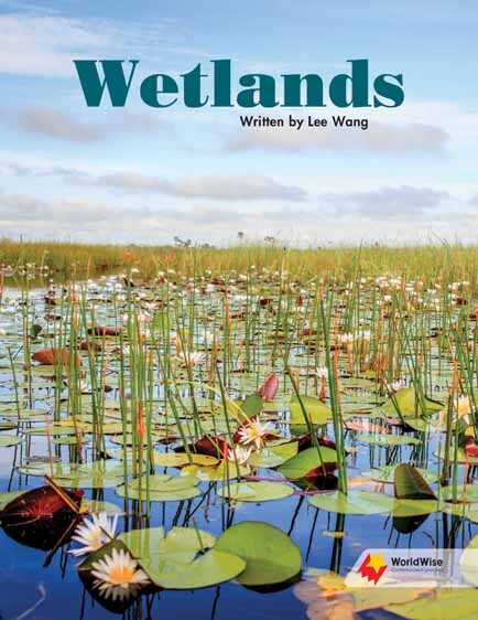 Flying Start to Literacy: WorldWise - Wetlands