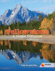 Flying Start to Literacy: WorldWise - Yellowstone: A Unique Ecosystem
