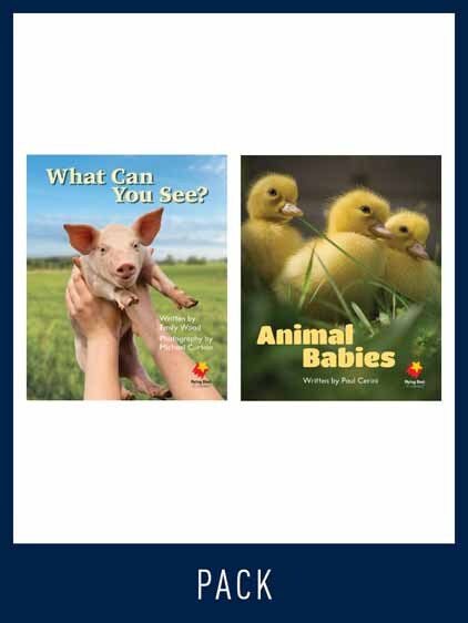 Flying Start to Literacy: Guided Reading - What Can You See? & Animal Babies: Level 1 (Pack 2)