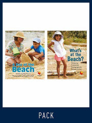 Flying Start to Literacy: Guided Reading - A Day at the Beach & What's at the Beach?: Level 1 (Pack 3)