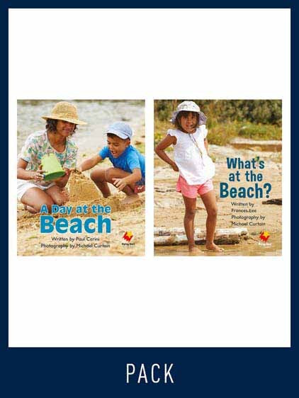 Flying Start to Literacy: Guided Reading - A Day at the Beach & What's at the Beach?: Level 1 (Pack 3)