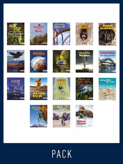 Flying Start to Literacy: WorldWise - Year 4 (Pack of 18)