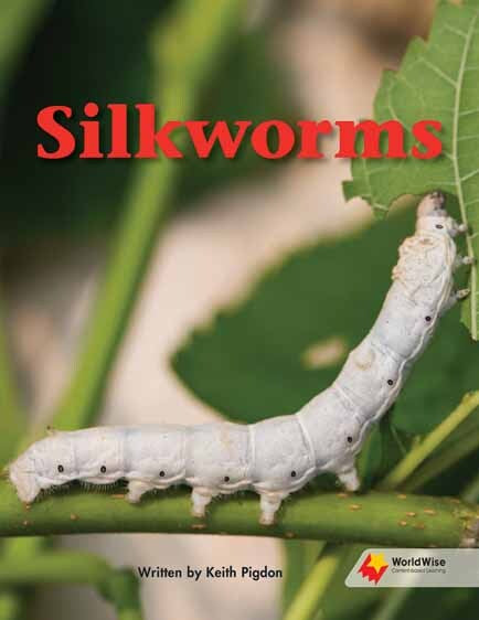 Flying Start to Literacy: WorldWise - Silkworms