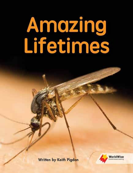 Flying Start to Literacy: WorldWise -  Amazing Lifetimes