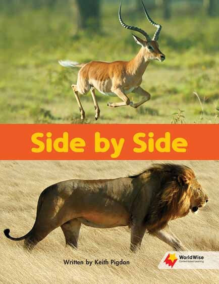 Flying Start to Literacy: WorldWise - Side By Side
