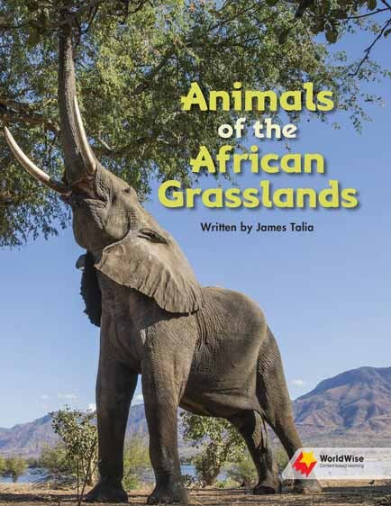 Flying Start to Literacy: WorldWise - Animals of the African Grasslands