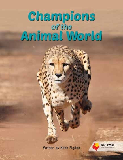 Flying Start to Literacy: WorldWise - Champions of the Animal World