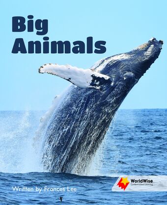 Flying Start to Literacy: WorldWise - Big Animals