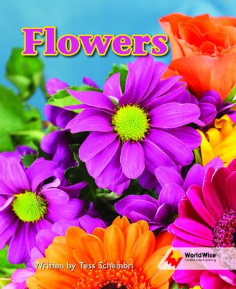 Flying Start to Literacy: WorldWise - Flowers